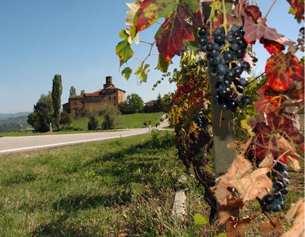 Cascina Rocca Agriturismo B&B ラ・モッラ 部屋 写真